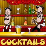 Cocktail Maken