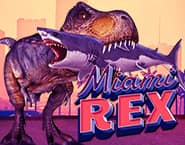 Miami Rex