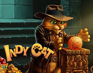 Indy Cat