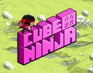 Cube Ninja