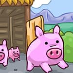 300 Miles to Pigsland