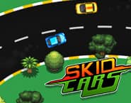 Skid Cars