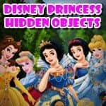 Disney Princess Hidden Objects